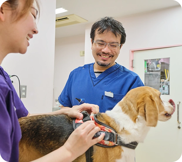 犬に予防接種を行うスタッフ