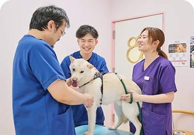 犬を囲んで対応するスタッフ
