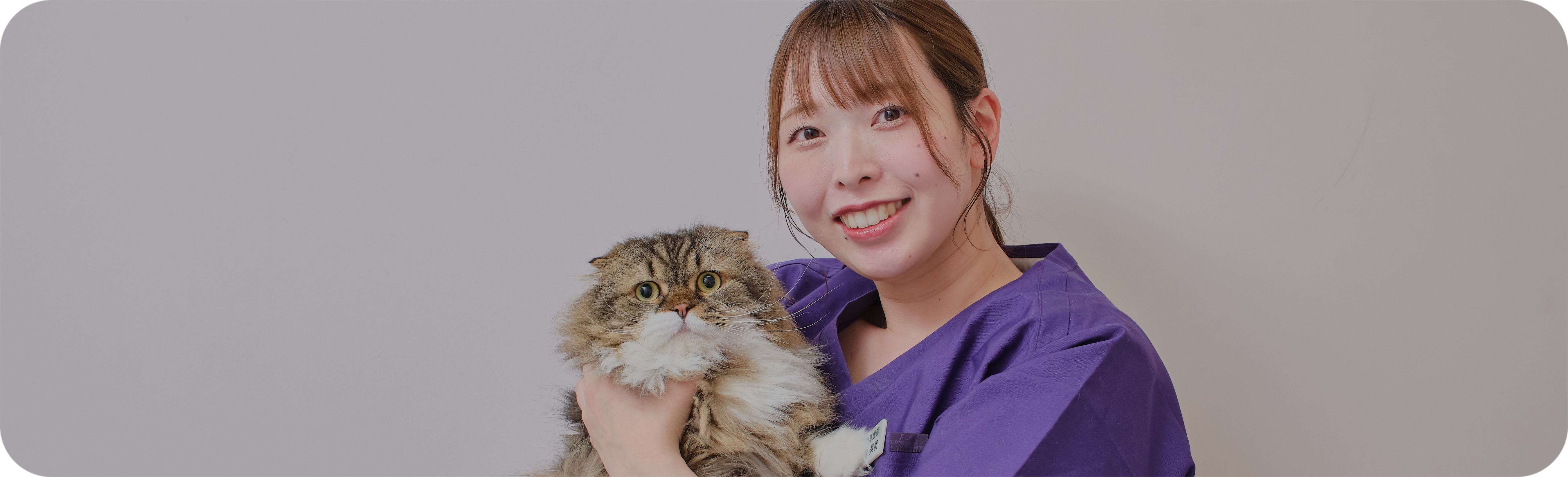 猫を抱く動物病院スタッフ
